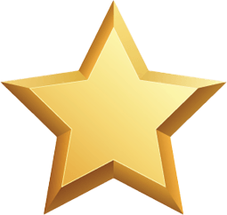 Bronze Star Moving And Storage Incorporated logo