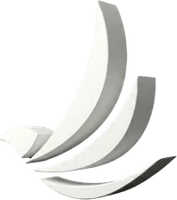 Falcon Moving Llc logo