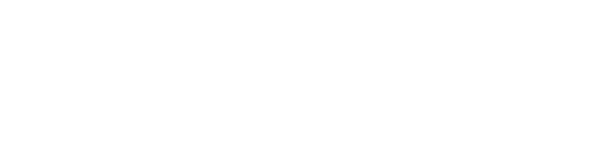 Perpetuum Moving Llc logo