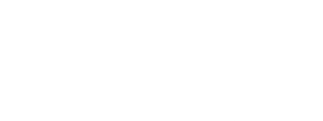 Voyager Moving Company Llc logo